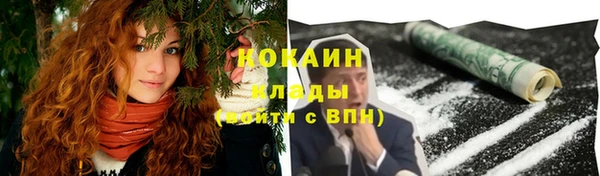 шишки Коряжма