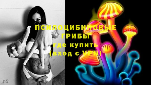 шишки Коряжма