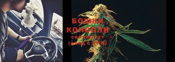 шишки Коряжма