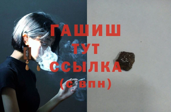 шишки Коряжма