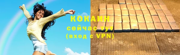 шишки Коряжма