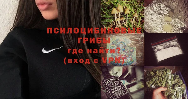 шишки Коряжма