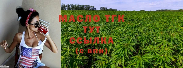 шишки Коряжма