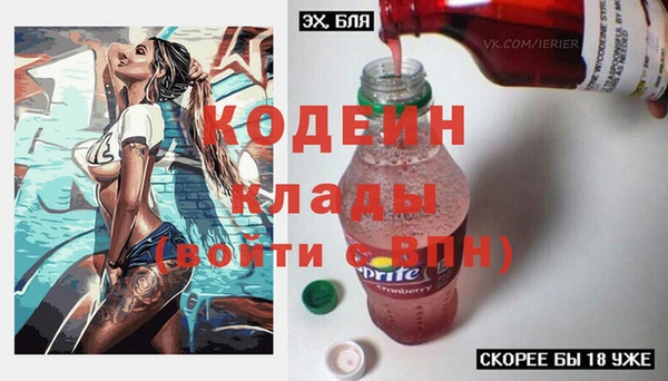 шишки Коряжма
