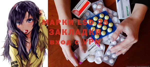 шишки Коряжма