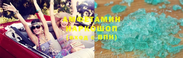 шишки Коряжма