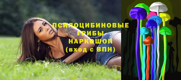 шишки Коряжма