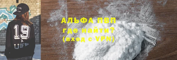 шишки Коряжма
