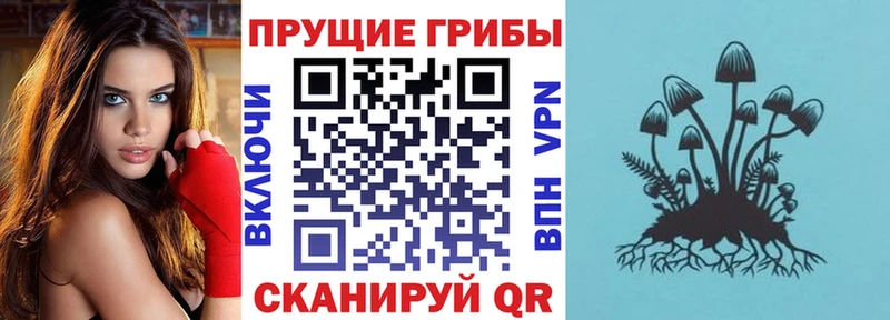 Купить где  Кулебаки  Псилоцибиновые грибы ЛСД 